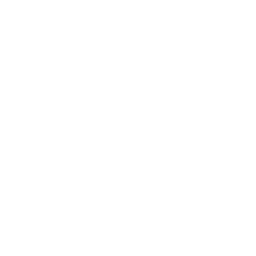 Experience managing revenue 