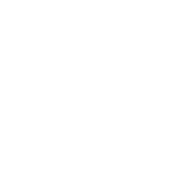 Operations launched