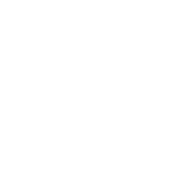 finance leaders mentored