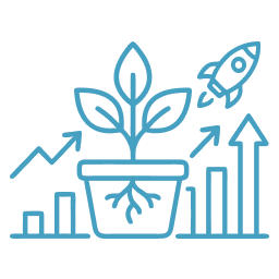 Finance for Emerging Businesses